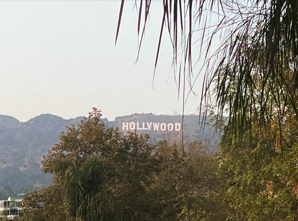 Hollywood Jungle (13)